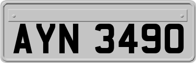 AYN3490