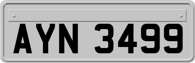 AYN3499