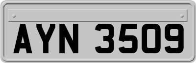 AYN3509