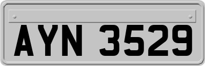 AYN3529