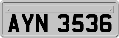 AYN3536