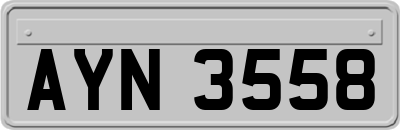 AYN3558