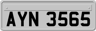 AYN3565