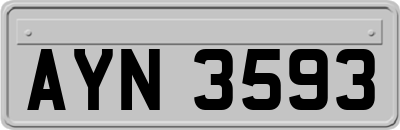 AYN3593