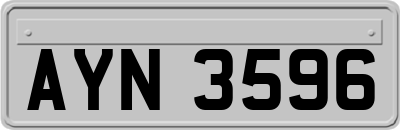 AYN3596