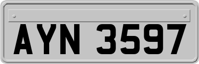 AYN3597