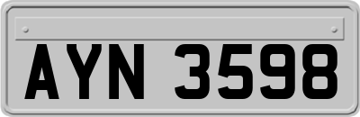 AYN3598
