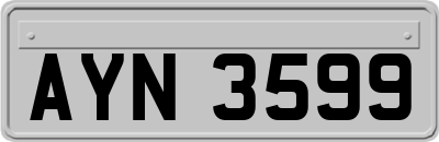 AYN3599