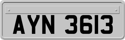 AYN3613