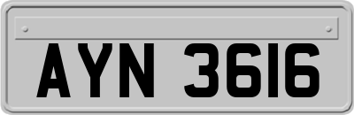 AYN3616