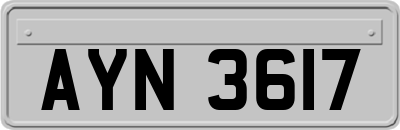 AYN3617