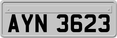 AYN3623