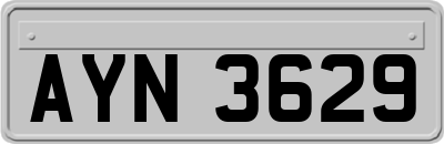 AYN3629