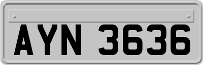 AYN3636