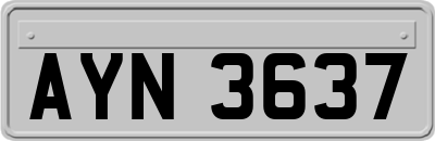 AYN3637