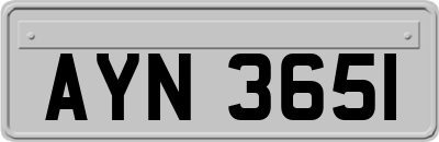 AYN3651