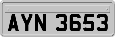 AYN3653