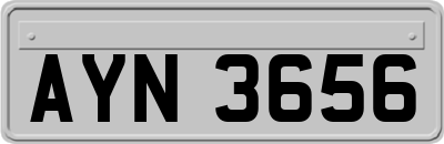 AYN3656