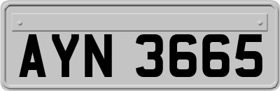 AYN3665