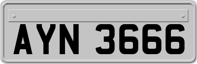 AYN3666