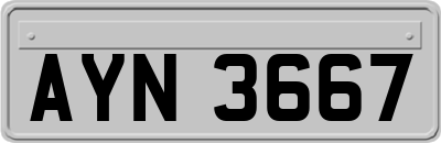 AYN3667