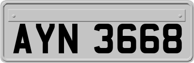 AYN3668