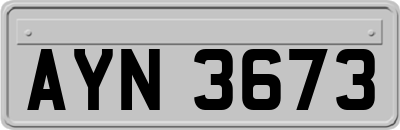 AYN3673