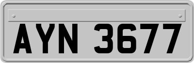 AYN3677