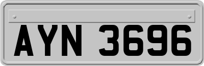 AYN3696