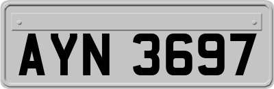 AYN3697