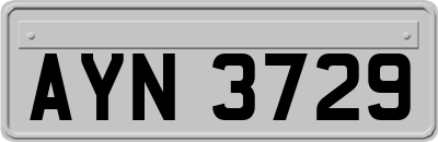 AYN3729