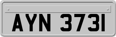 AYN3731