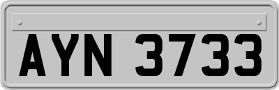 AYN3733