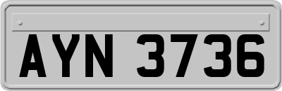 AYN3736