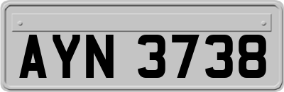 AYN3738