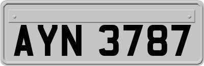 AYN3787