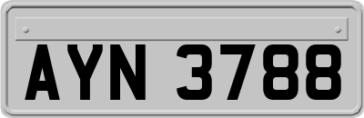 AYN3788