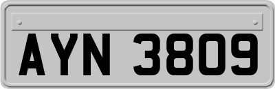 AYN3809