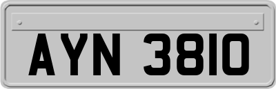 AYN3810