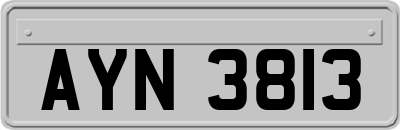 AYN3813