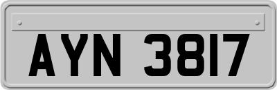 AYN3817