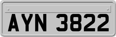 AYN3822