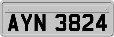 AYN3824