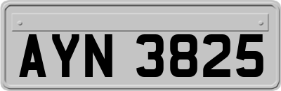AYN3825