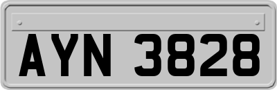 AYN3828