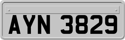 AYN3829