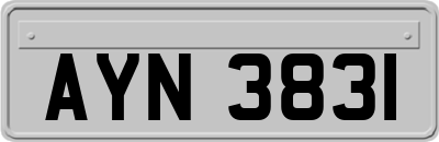 AYN3831