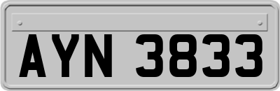 AYN3833