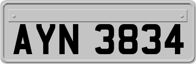 AYN3834