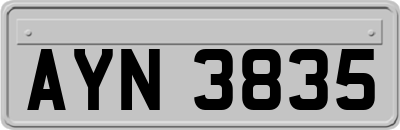 AYN3835